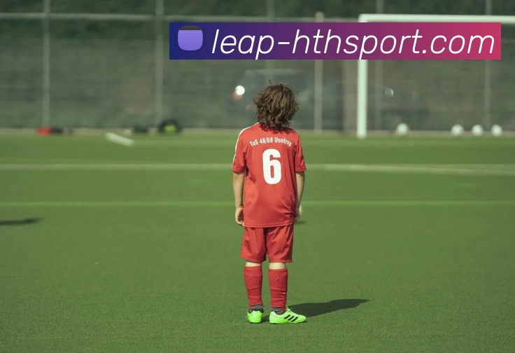 hth体育APP 封面图